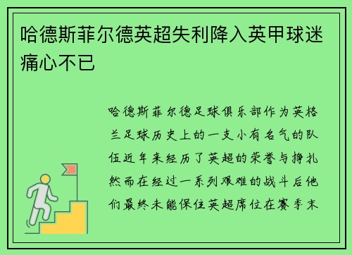 哈德斯菲尔德英超失利降入英甲球迷痛心不已